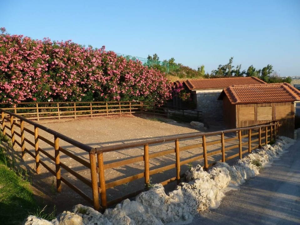 Wird evtl. Ponykoppel oder so Hotel Kalithea Horizon Royal