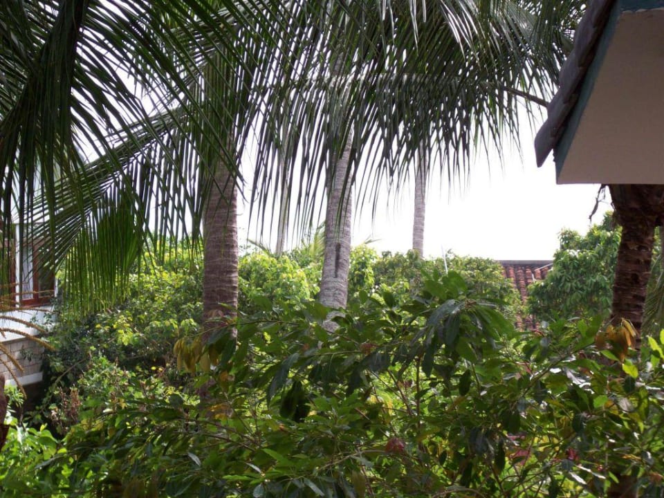 Terrasse Hoang Ngoc Beach Resort