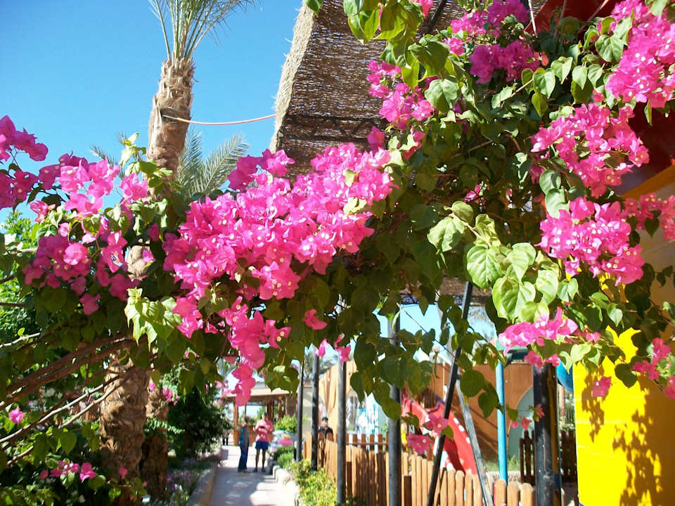 Garten Riviera Aqua Park Resort