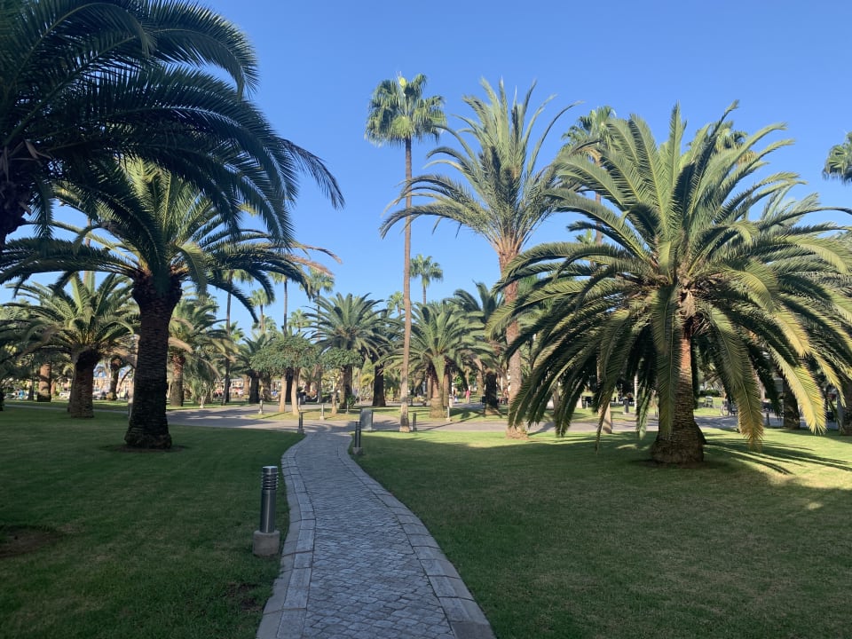 Gartenanlage Hotel Riu Gran Canaria