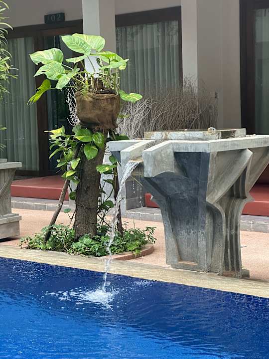 Pool Golden Temple Retreat