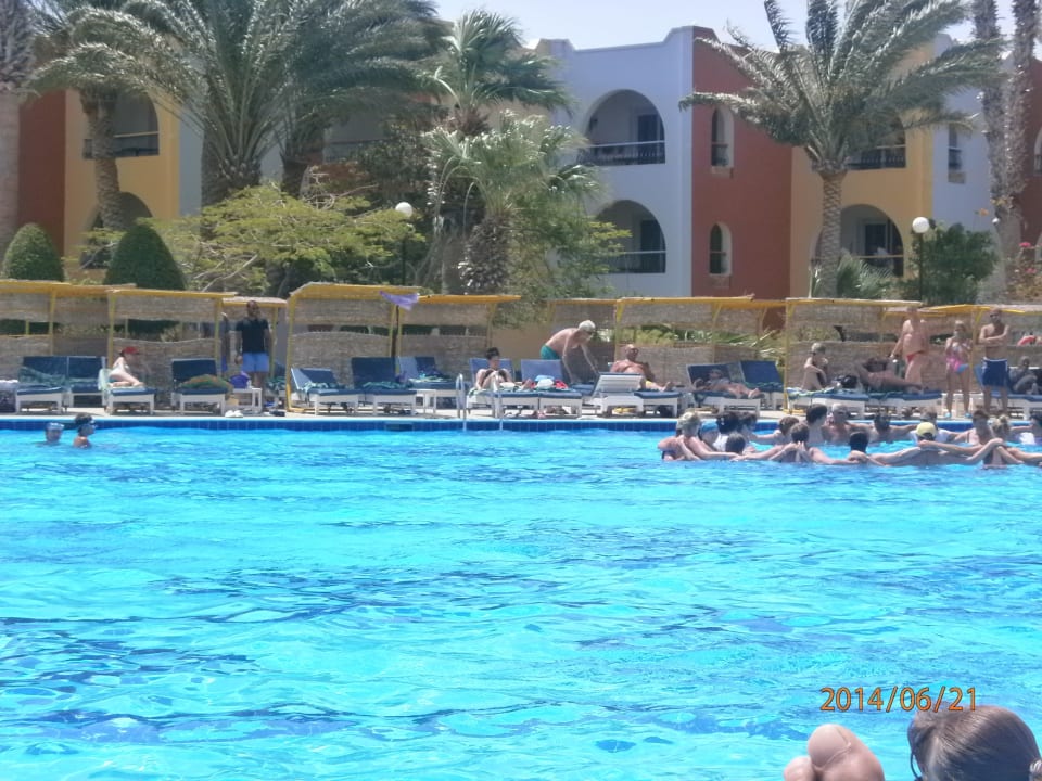 Gymnastik Arabia Azur Resort
