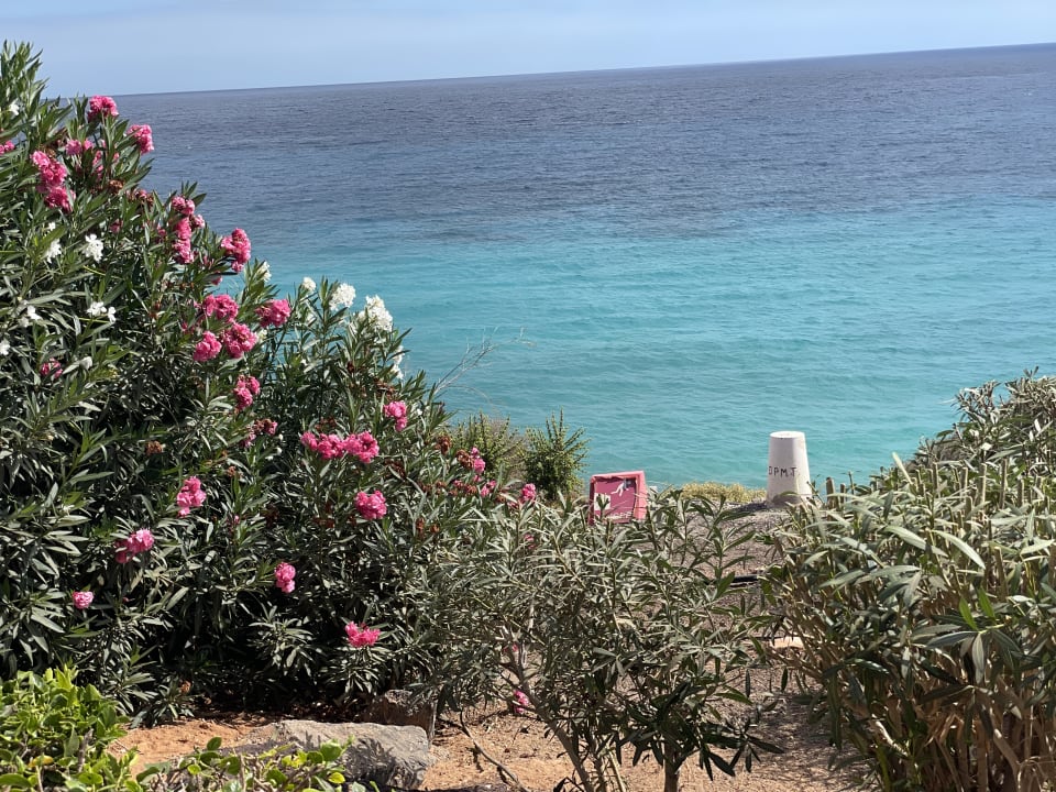 Gartenanlage TUI MAGIC LIFE Fuerteventura