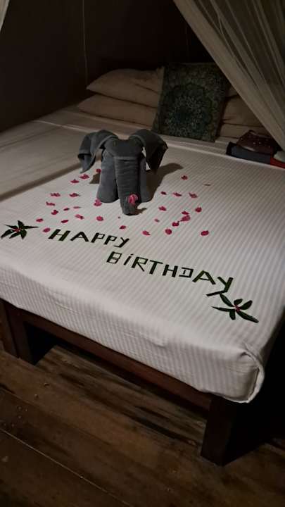 Zimmer Jungle Beach Camp Ahungalla