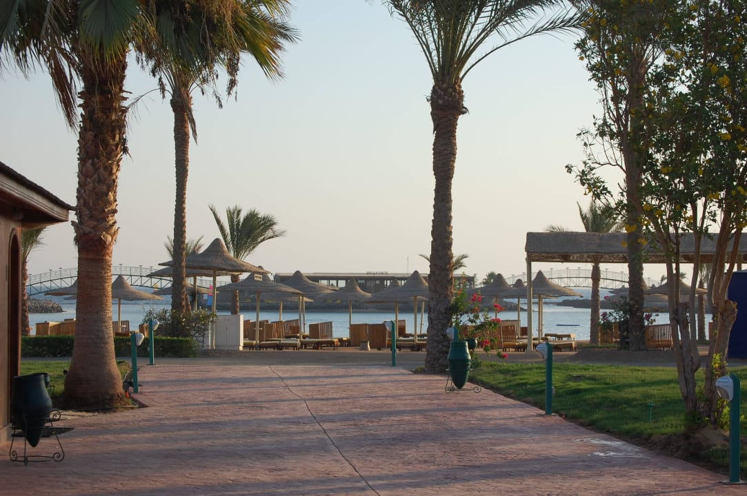 Weg zur Lagune Desert Rose