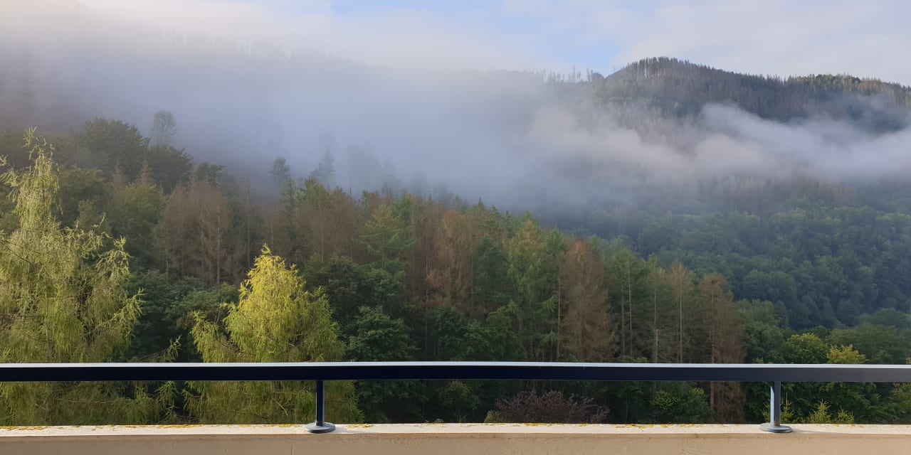 Ausblick Panoramic - Ihr Apartmenthotel im Harz