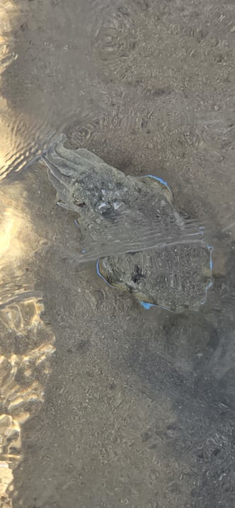 Strand Steigenberger Resort Ras Soma