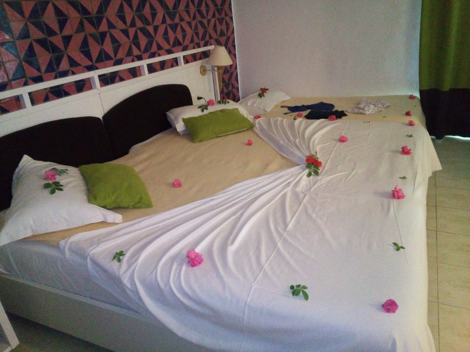 Zimmer Hotel El Mouradi Djerba Menzel