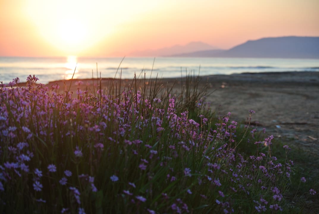 Strand Hotel Corissia Princess