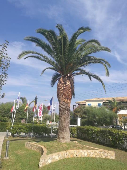 Gartenanlage Hotel Albatros