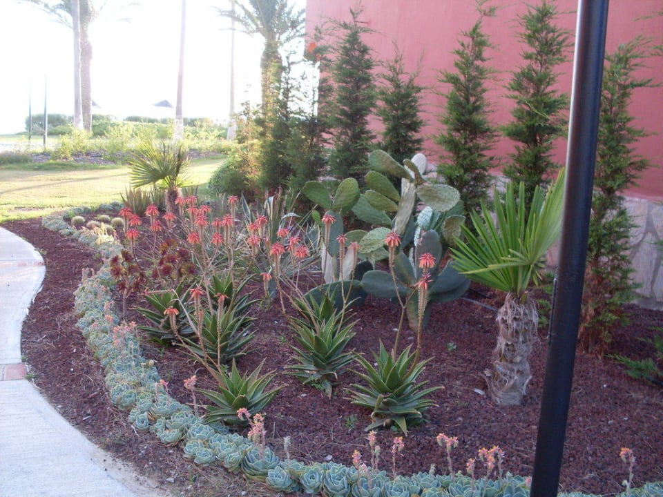 Nicht nur hier war es schön Ephesia Holiday Beach Club