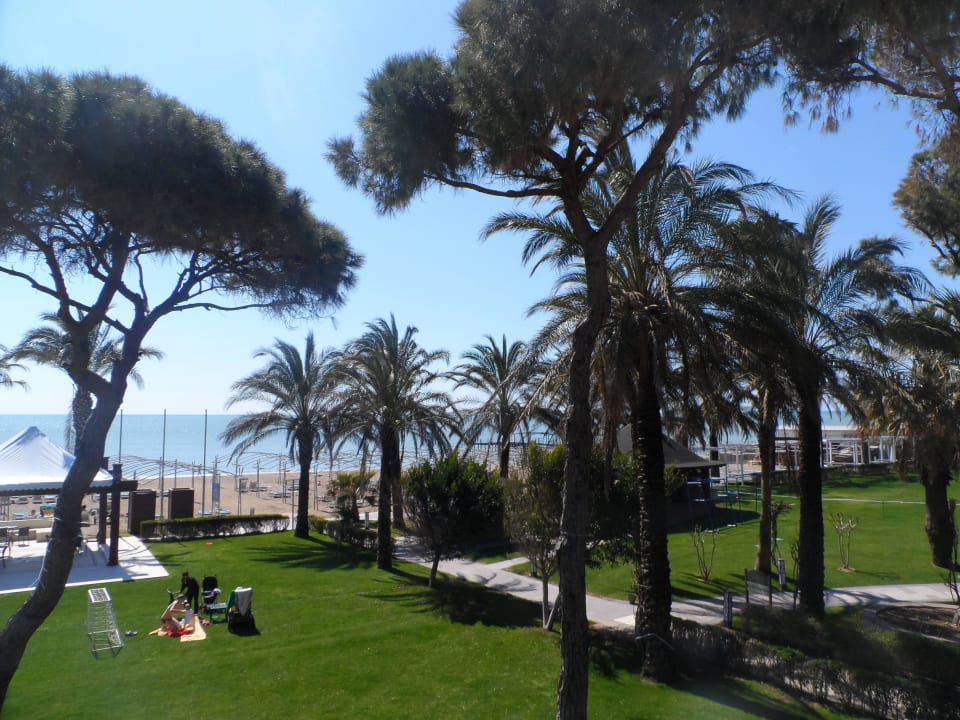 Ogrod Papillon Ayscha