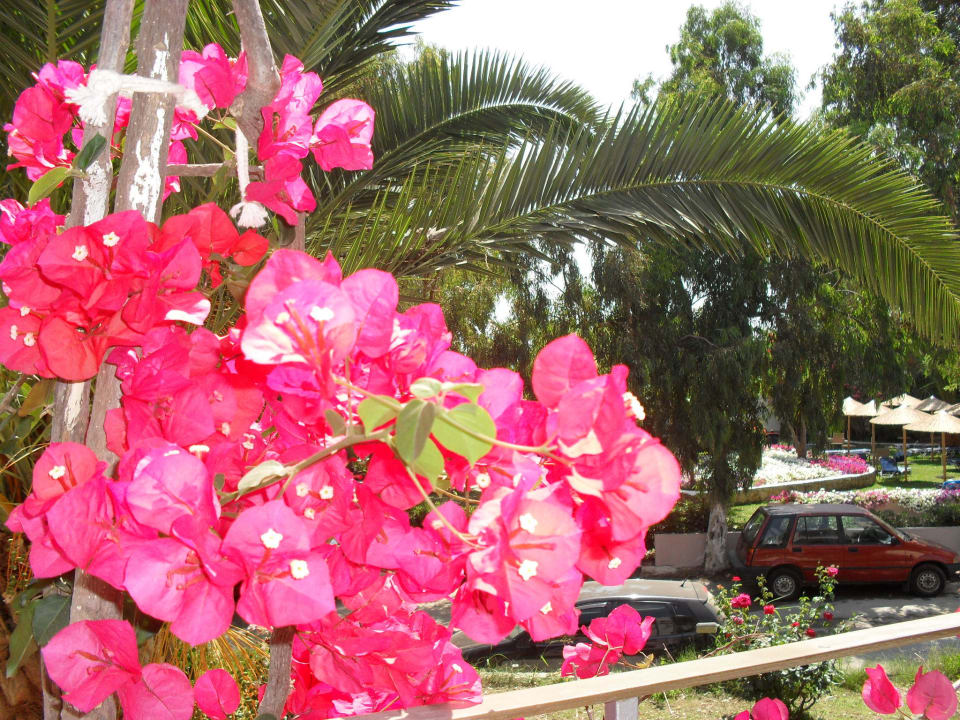Ausblick vom Balkon Corissia Beach Hotel
