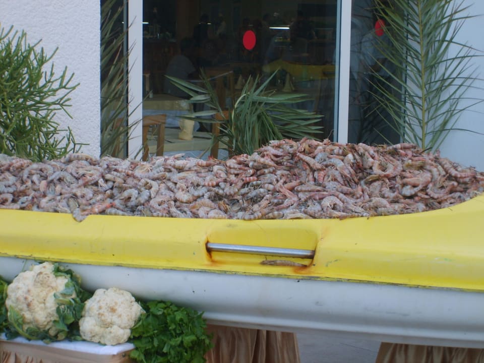 Shrimps 200 Kg lecker Hotel El Mouradi Djerba Menzel