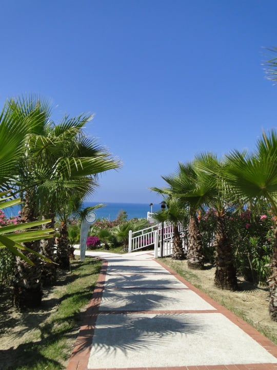 Gartenanlage auf dem Weg zum Strand Alba Resort Hotel