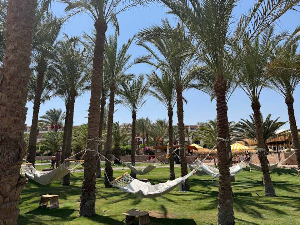 Gartenanlage Fort Arabesque - The West Bay