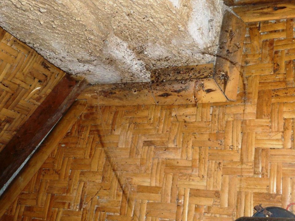 Badezimmer Guci Guesthouses