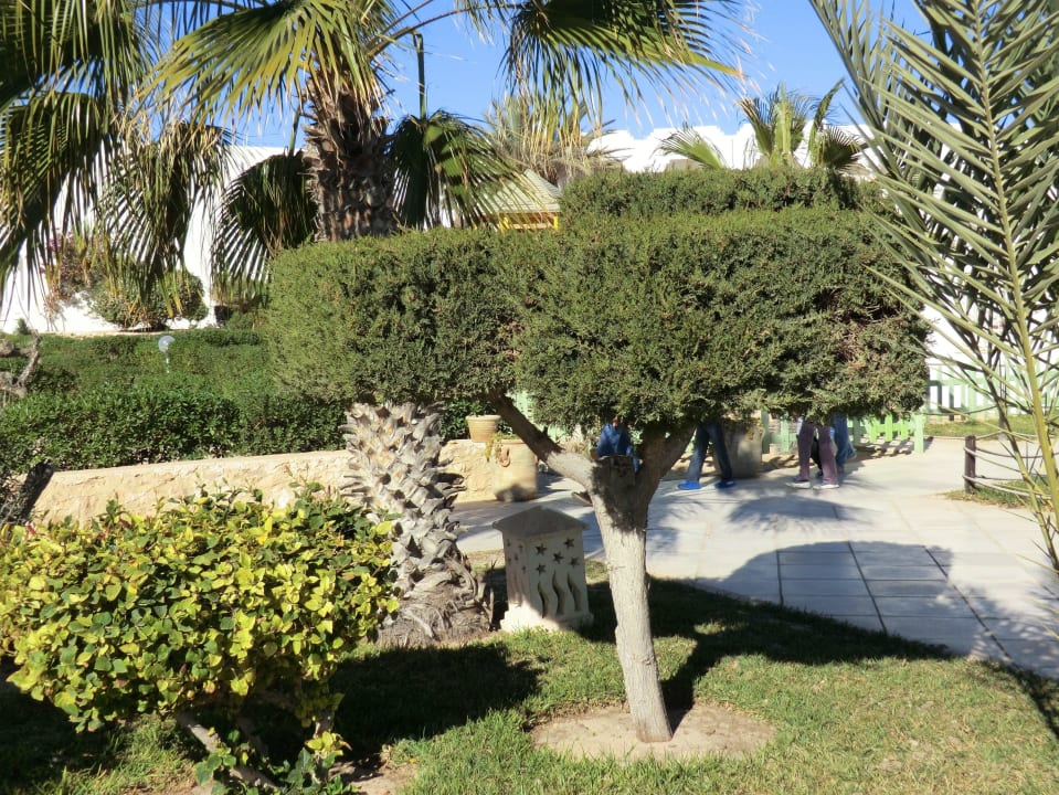 Sehr liebevoll im Detail Djerba Sun Beach Hotel & Spa