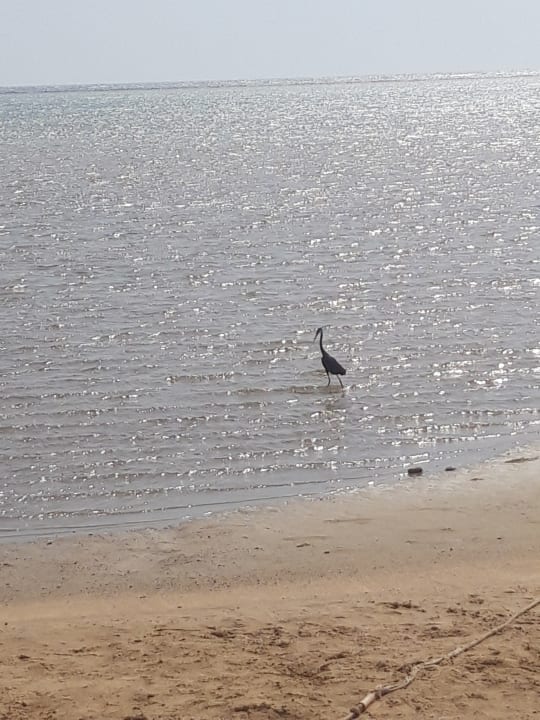 Strand Casa Mare Resort