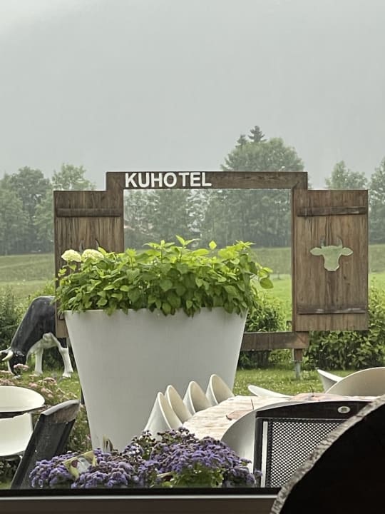 Ausblick elaya hotel steinplatte