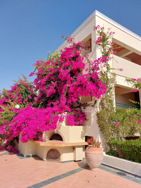 Gartenanlage Hydramis Palace Beach Resort