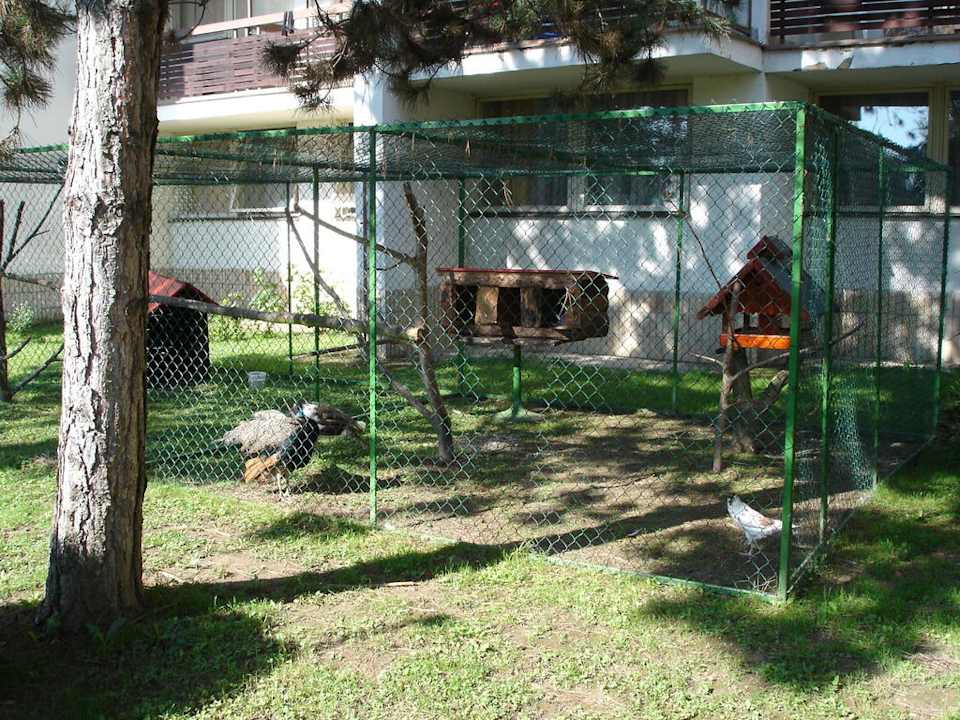 Pavy pod oknami Hotel Linea Piestany