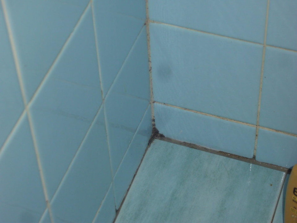 Schimmel Narcis Hotel