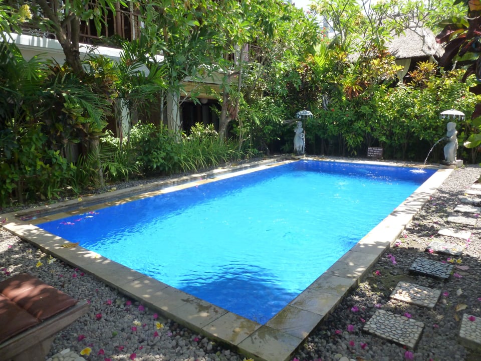 Pool Hotel Tropical Bali