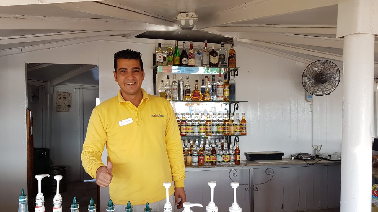 Sonstiges Desert Rose