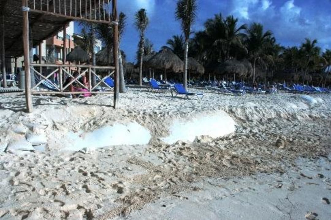 Alptraumstrand Viva Azteca by Wyndham - All Inclusive Resort