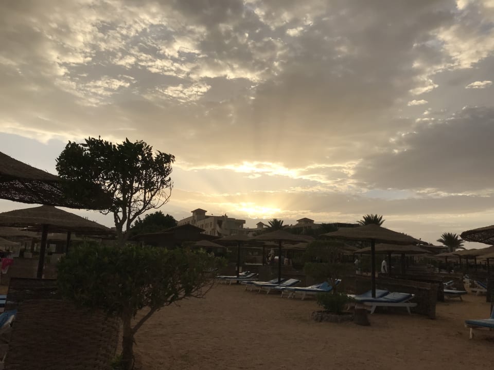 Strand Sea Star Beau Rivage