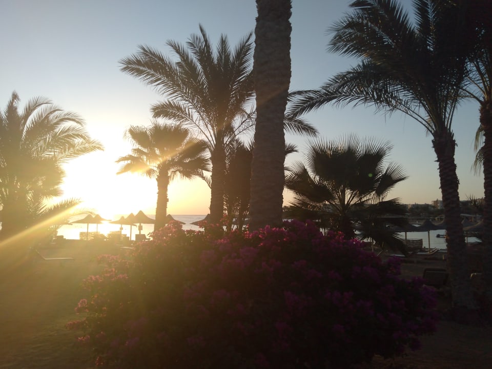 Gartenanlage Brayka Bay Resort