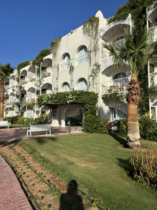 Außenansicht Desert Rose