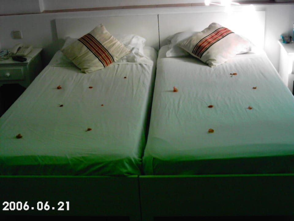 Zimmer Royal Karthago Djerba