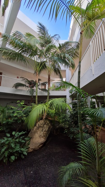 Gartenanlage Hotel Riu Paraiso Lanzarote