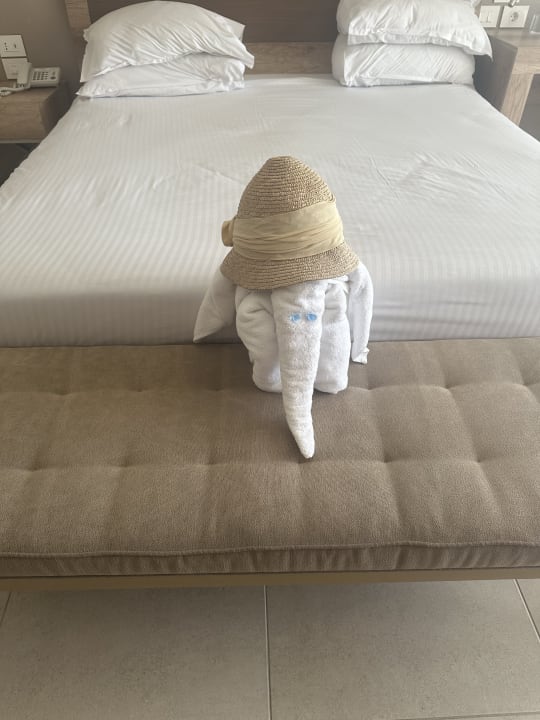 Zimmer Steigenberger Resort Ras Soma