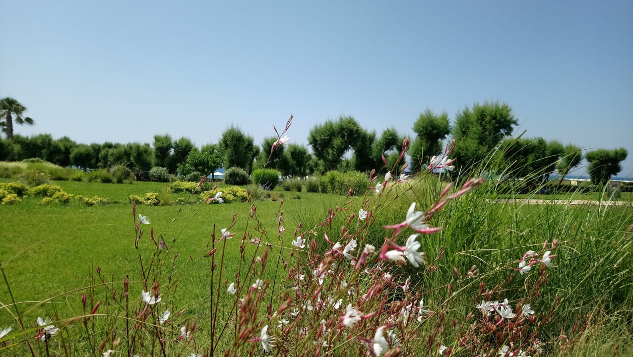 Gartenanlage Neptune Luxury Resort