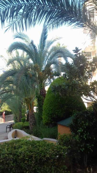 Alle sehr gepflegt Alaiye Resort & Spa