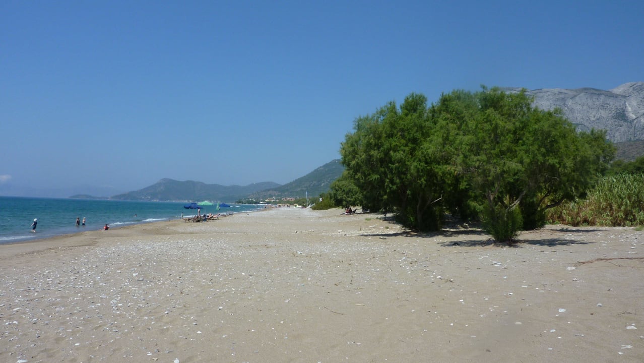 Strand in unmittelbarer Nähe der Anlage Hotel Albatros