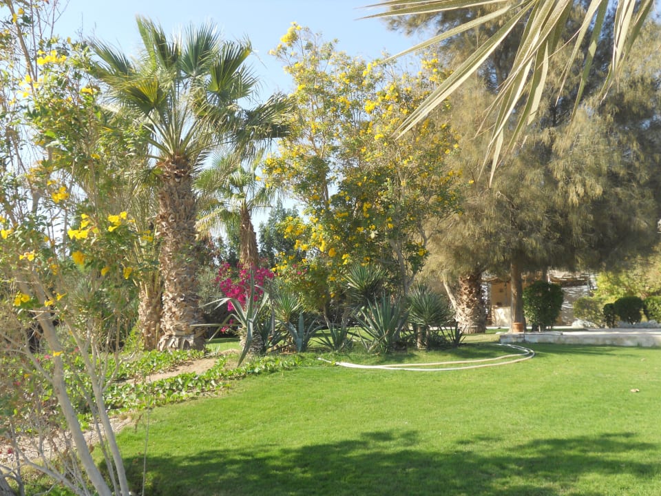 Garten Club Paradisio El Gouna, Red Sea