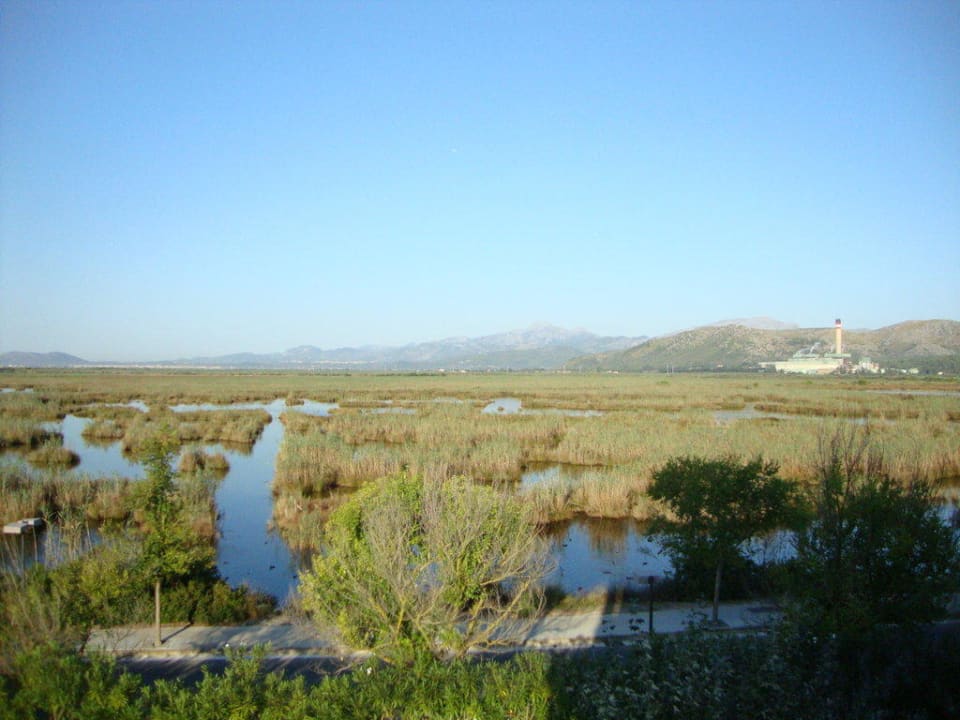 Ausblick auf das Hinterland Prinsotel La Dorada