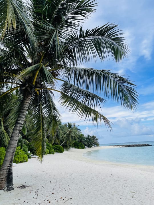 Strand Summer Island Maldives