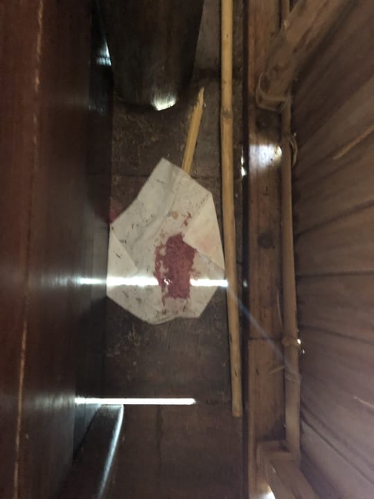 Zimmer Papua Paradise Eco Resort