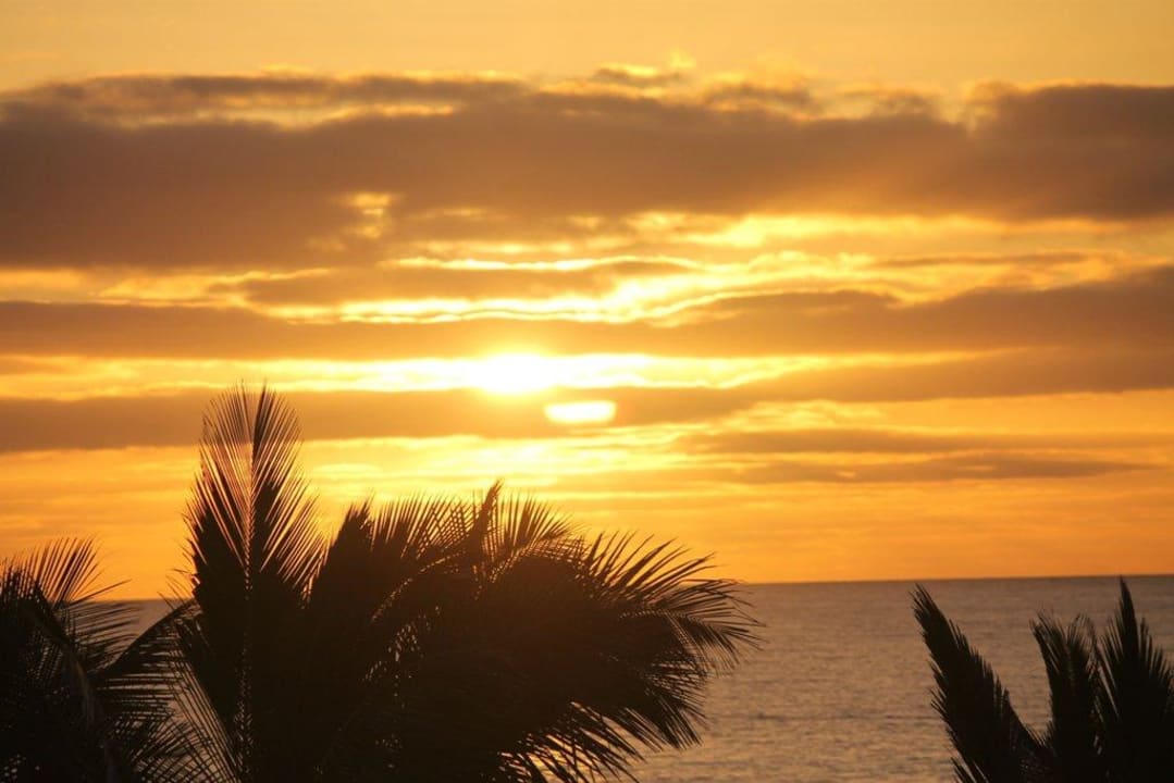 Ausblick aus dem Zimmer-- Hotel Las Costas