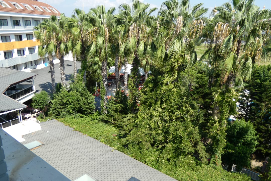 Ausblick Hane Family Resort