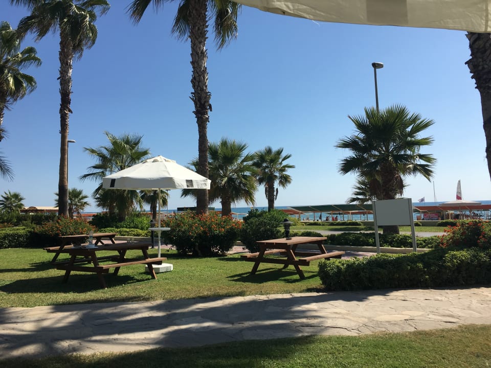 Garten Kamelya Collection Selin Hotel