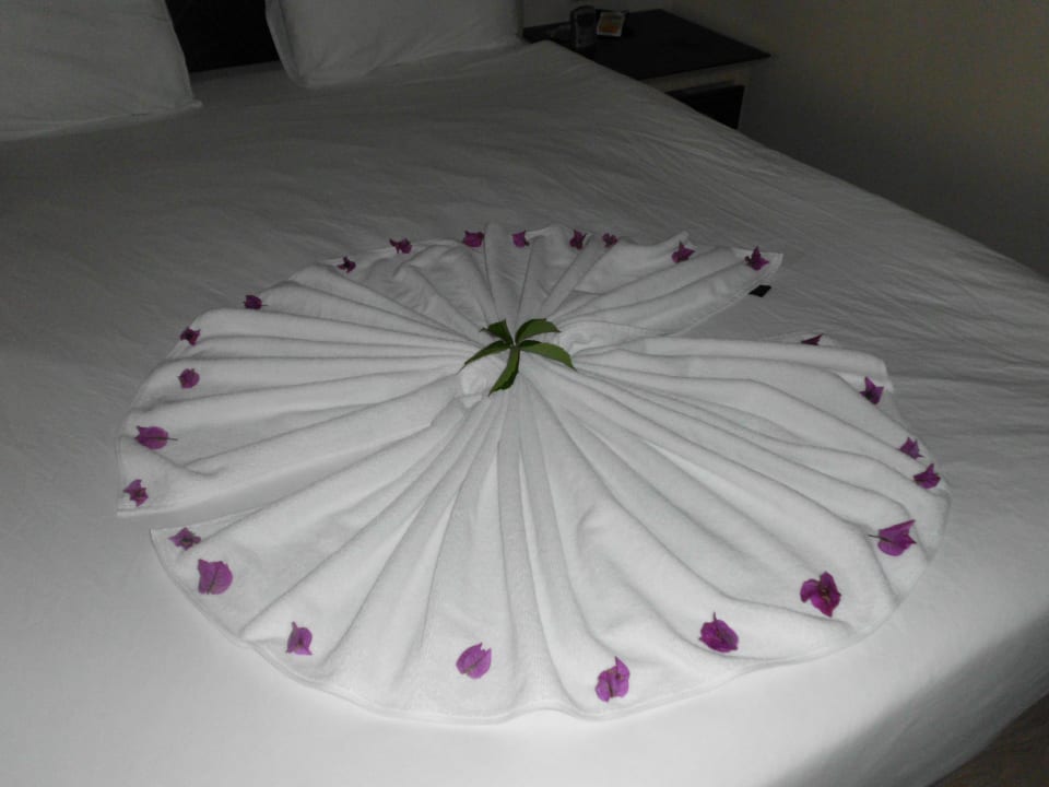 Aufmerksamkeit der Reinigungskraft Aydinbey Kings Palace & Spa