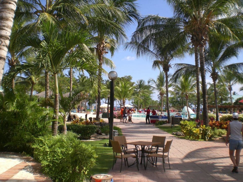 Anlage Dreams La Romana Resort & Spa