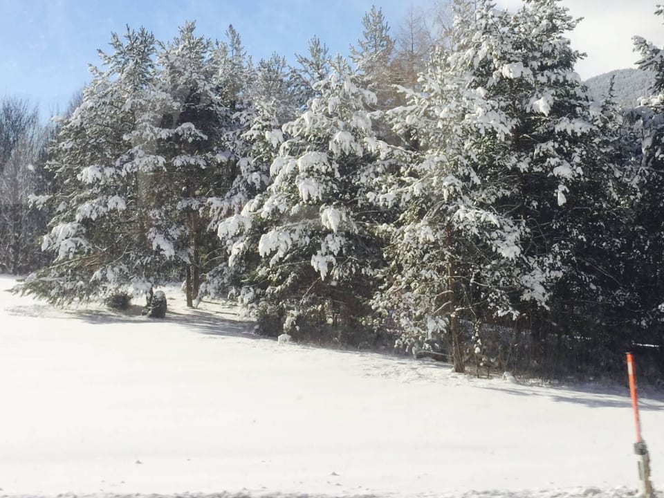 Ausblick Appartement Hotel Erlhof Deluxe