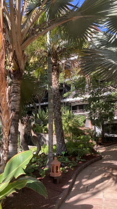 Gartenanlage Hotel Parque Tropical